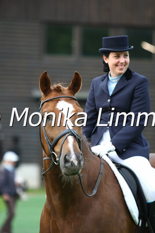 006M3243_Dressur L.JPG